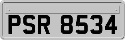 PSR8534