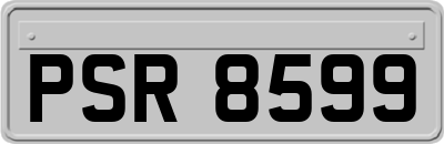 PSR8599