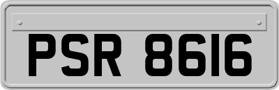PSR8616