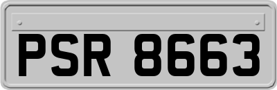 PSR8663