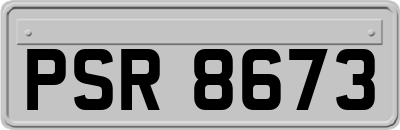 PSR8673
