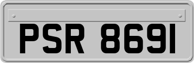 PSR8691