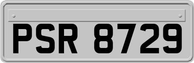 PSR8729