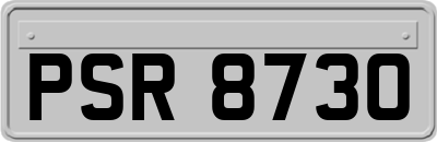 PSR8730