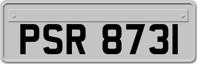 PSR8731