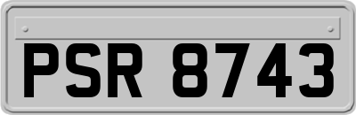 PSR8743