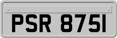 PSR8751
