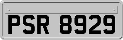 PSR8929