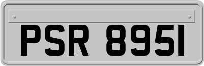 PSR8951