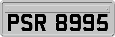 PSR8995