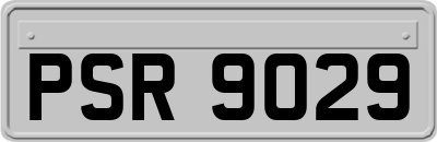 PSR9029