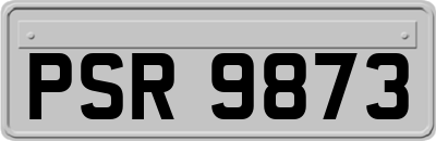 PSR9873