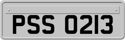 PSS0213