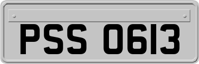 PSS0613