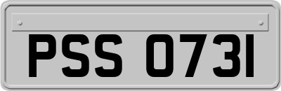 PSS0731