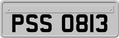 PSS0813