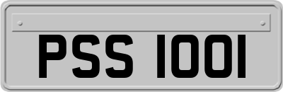 PSS1001