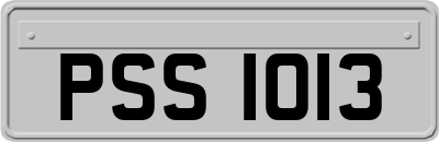 PSS1013