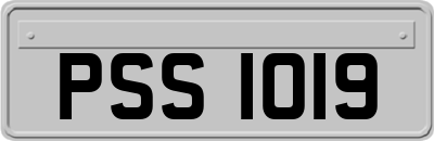 PSS1019