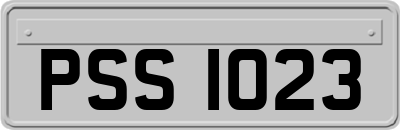 PSS1023