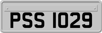PSS1029