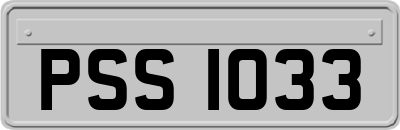 PSS1033