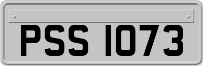 PSS1073