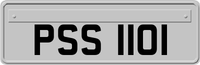 PSS1101