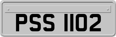 PSS1102
