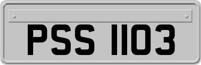 PSS1103