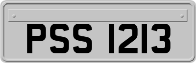PSS1213