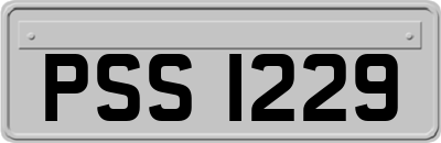 PSS1229