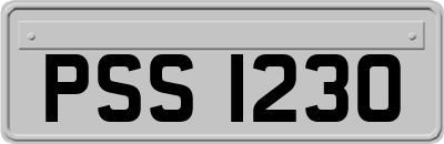 PSS1230