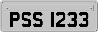 PSS1233