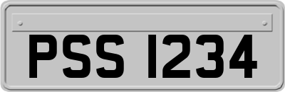 PSS1234