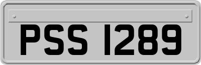 PSS1289