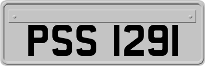 PSS1291
