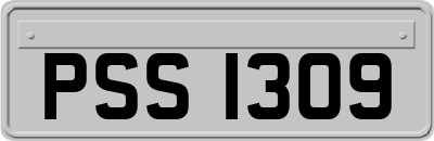 PSS1309