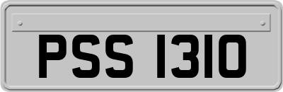 PSS1310