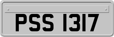 PSS1317