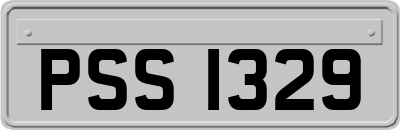 PSS1329
