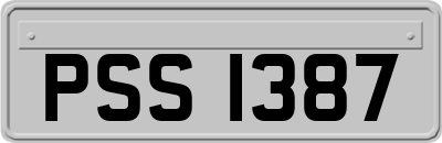 PSS1387