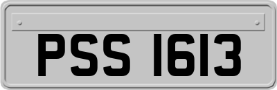 PSS1613