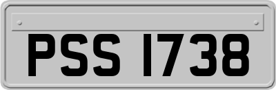 PSS1738