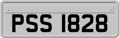 PSS1828
