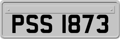 PSS1873