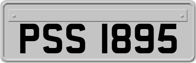 PSS1895