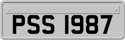 PSS1987