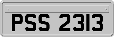 PSS2313