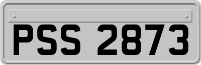 PSS2873